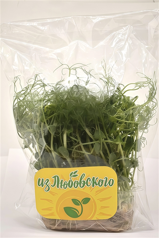 Микрозелень Из Любовского гороха растущая 30г