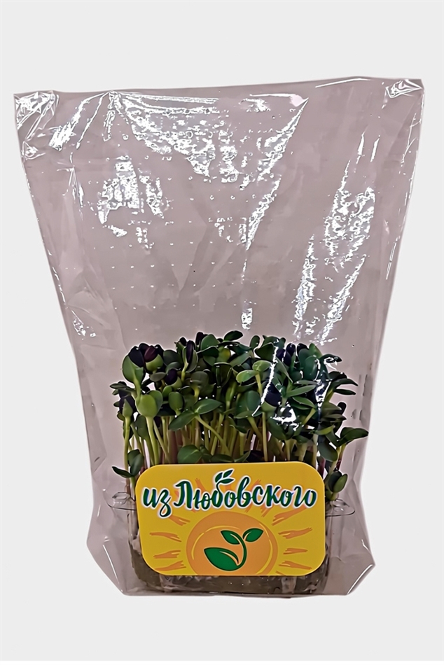 Микрозелень Из Любовского подсолнечника растущая 50г