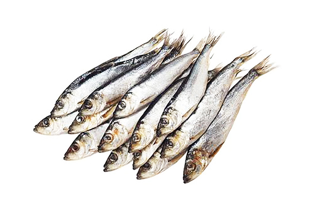 Сельдь беломорская свежемороженая неразделанная с головой