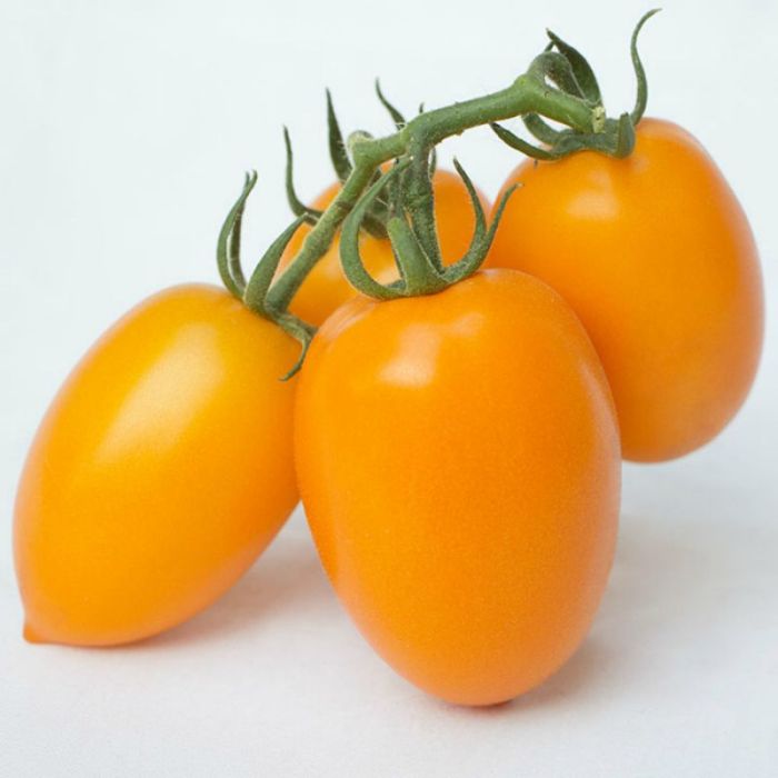Томаты желтые