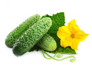 Огурцы короткоплодные колючие