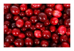 Клюква лесная