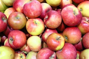 Яблоки свежие