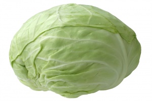 Капуста белокочанная для засолки сорт Слава