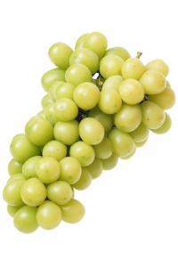Виноград Мускат